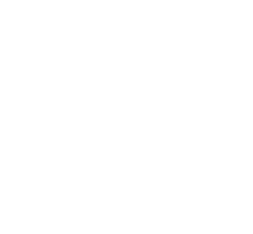 InBug Logo